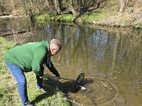 Zarybňování Litavky (24)